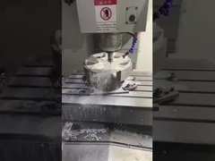 Cinturones de 1 PC forjados a medida