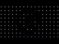 Cinturones negros personalizados de 2 PC